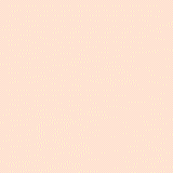 Florescence - 1000 Piece Puzzle